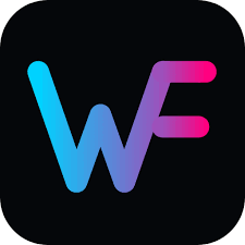 WebFlow Agency